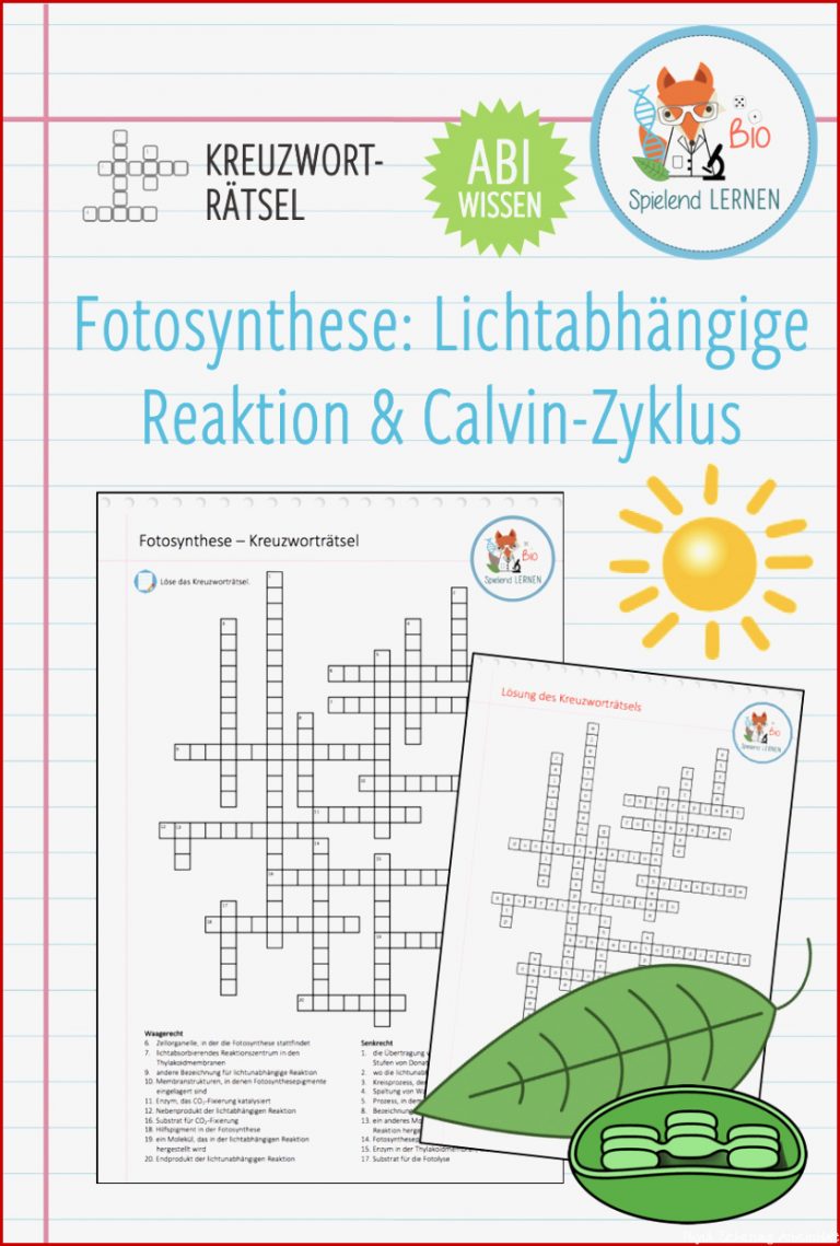 Biologie Fotosynthese Arbeitsblatt Stephen Scheidt Schule