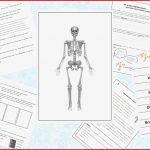 Biologie Gelenke Arbeitsblätter Worksheets