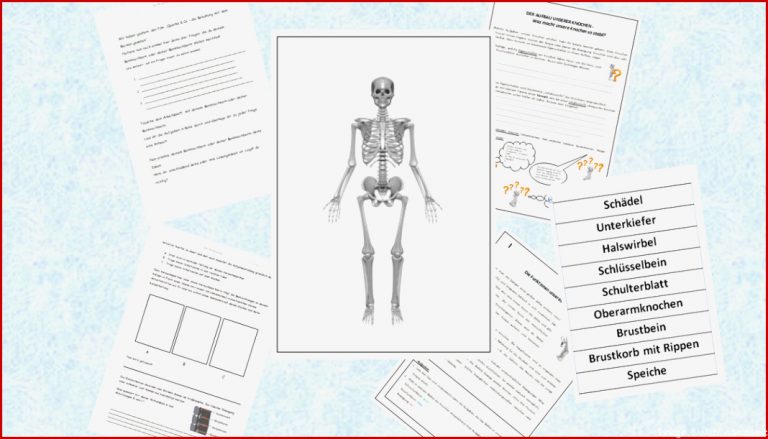 Biologie Gelenke Arbeitsblätter Worksheets