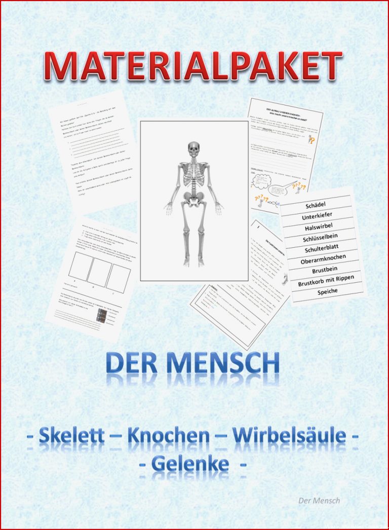 Biologie Gelenke Arbeitsblätter Worksheets