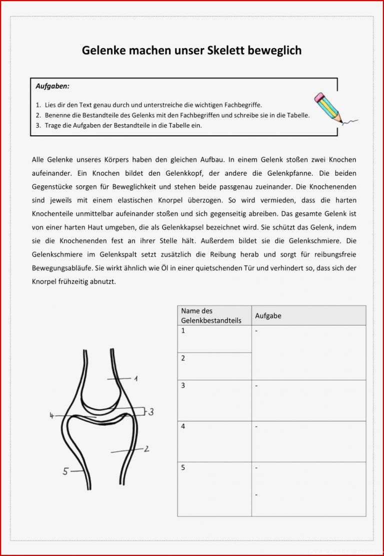 Biologie Gelenke Arbeitsblätter Worksheets