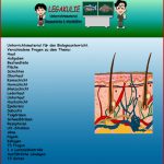 Biologie Haut Klassenarbeit Lernzielkontrolle Pdf Arbeitsblatt