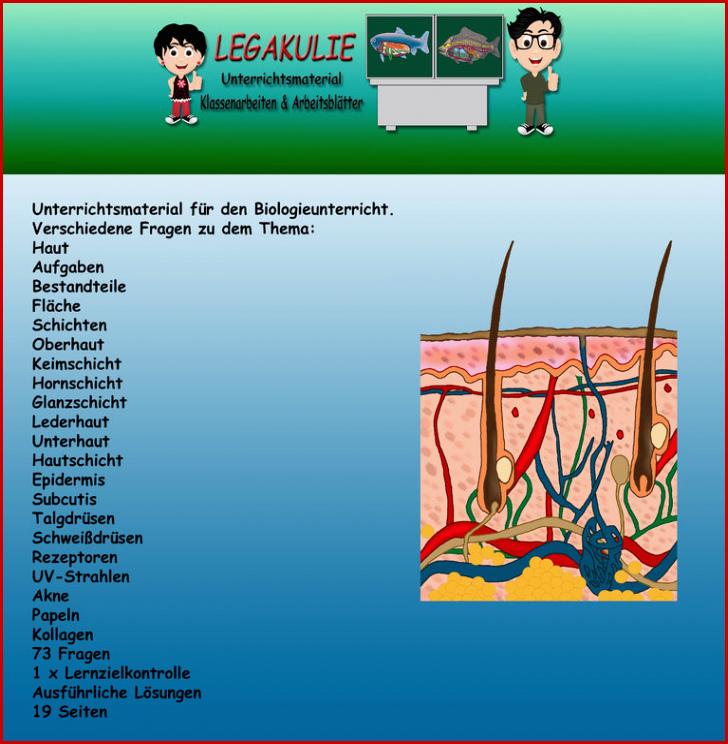 Biologie Haut Klassenarbeit Lernzielkontrolle Pdf Arbeitsblatt