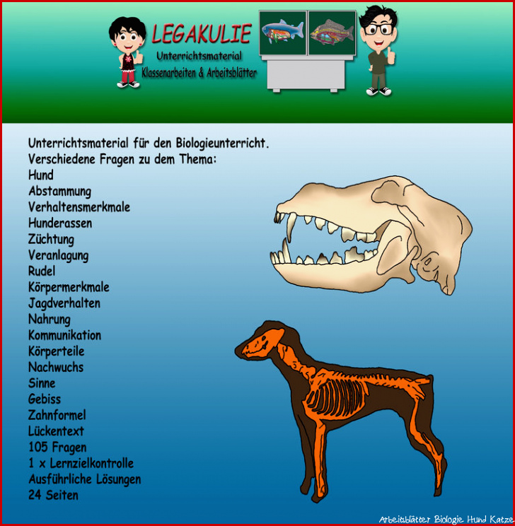 Biologie Hund Schularbeit Klassenarbeit Lernzielkontrolle