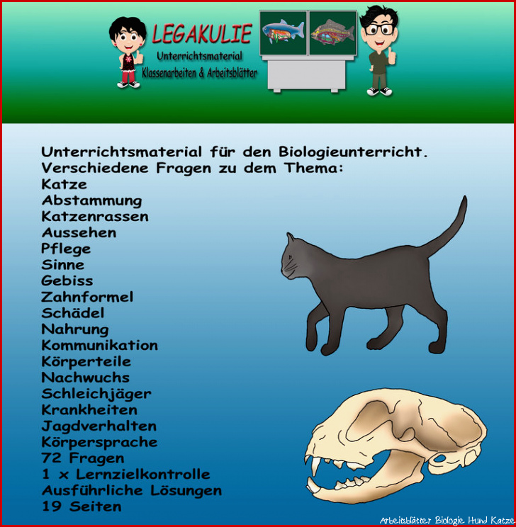 Biologie Katze Schularbeit Klassenarbeit Lernzielkontrolle