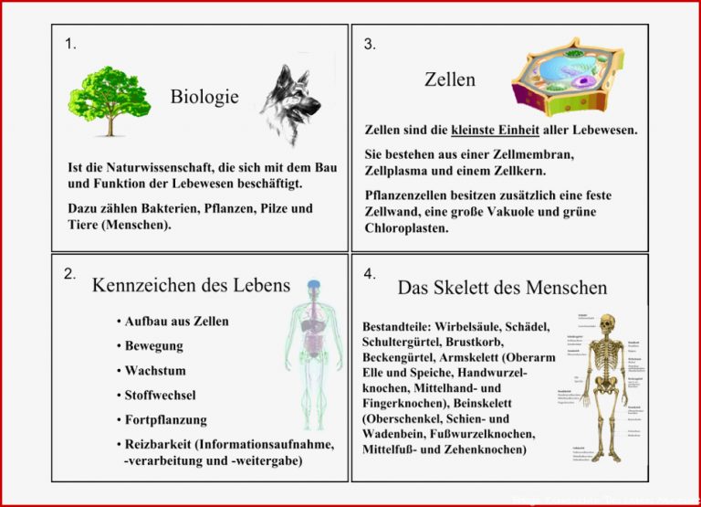 Biologie Kennzeichen Des Lebens Zellen Das Skelett Des