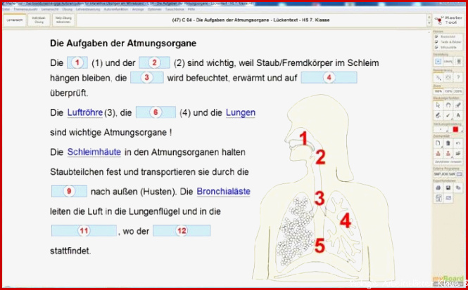 Biologie Klasse 5 Biologie Arbeitsblätter Zum Ausdrucken