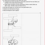 Biologie Klasse 5 Biologie Arbeitsblätter Zum Ausdrucken