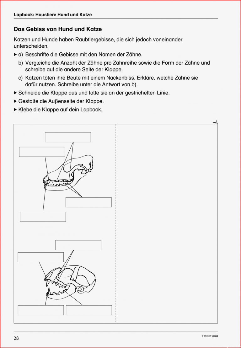 Biologie Klasse 5 Biologie Arbeitsblätter Zum Ausdrucken