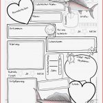 Biologie Klasse 5 Fische Arbeitsbl舩ter Darrell Mccoy