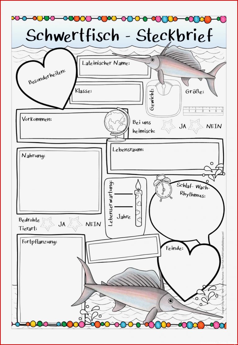 Biologie Klasse 5 Fische Arbeitsbl舩ter Darrell Mccoy