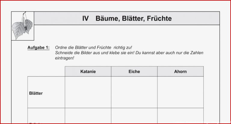 Biologie Klasse 6 Pflanzen Arbeitsblätter Kostenlos