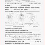 Biologie Klasse 6 Pflanzen Arbeitsblätter Worksheets