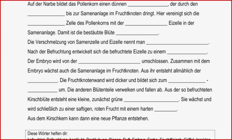 Biologie Klasse 6 Pflanzen Arbeitsblätter Worksheets