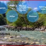Biologie Ökosystem Fließgewässer by Julia W On Prezi Next
