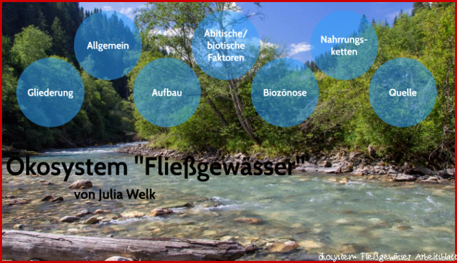 Biologie Ökosystem Fließgewässer by Julia W on Prezi Next