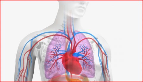 Biologie Unterrichtskonzepte Arbeitsmaterial Und