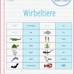 Biologie Wirbeltiere Arbeitsblätter Worksheets