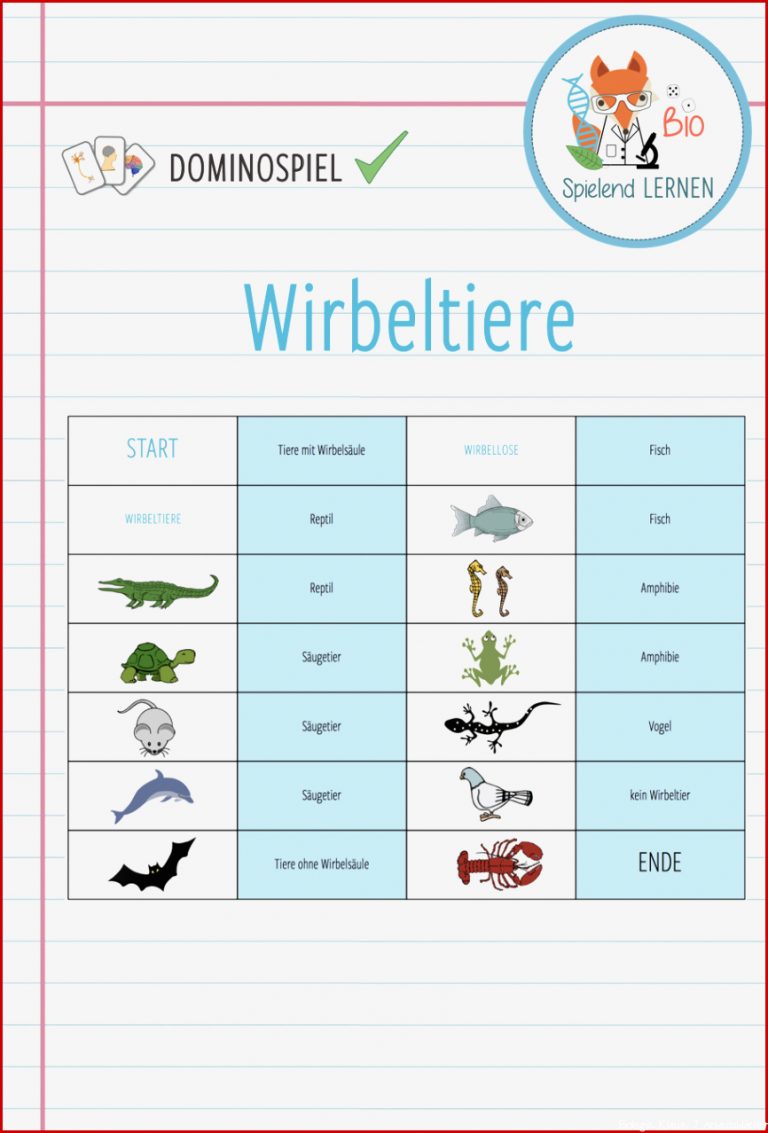 Biologie Wirbeltiere Arbeitsblätter Worksheets