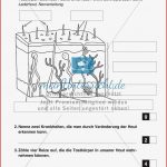 Biologietest Haut Arbeitsblätter Meinunterricht