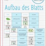 Blattaufbau Arbeitsblatt Ideen Arbeitsblätter