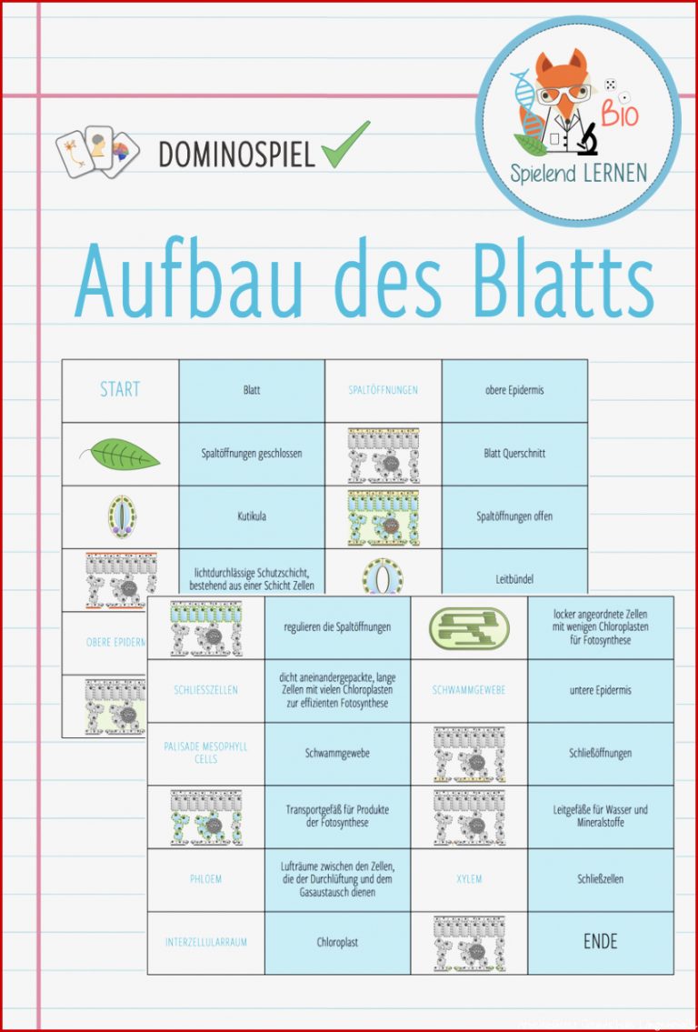 Blattaufbau Arbeitsblatt Ideen Arbeitsblätter