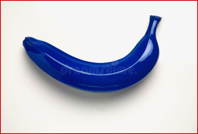 Blauwe Banaan Stock Afbeelding Image Of Vals Banaan