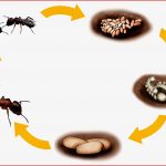 Blog Mit Selbst Erstellten Unterrichtsmaterialien Für