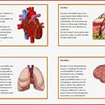 Blog Mit Selbst Erstellten Unterrichtsmaterialien Für