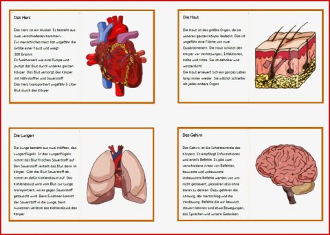 Blog Mit Selbst Erstellten Unterrichtsmaterialien Für