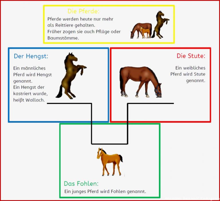 Blog Mit Selbst Erstellten Unterrichtsmaterialien Für