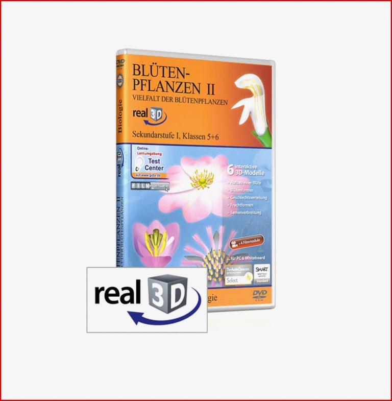 Blütenpflanzen II Vielfalt der Blütenpflanzen real3D