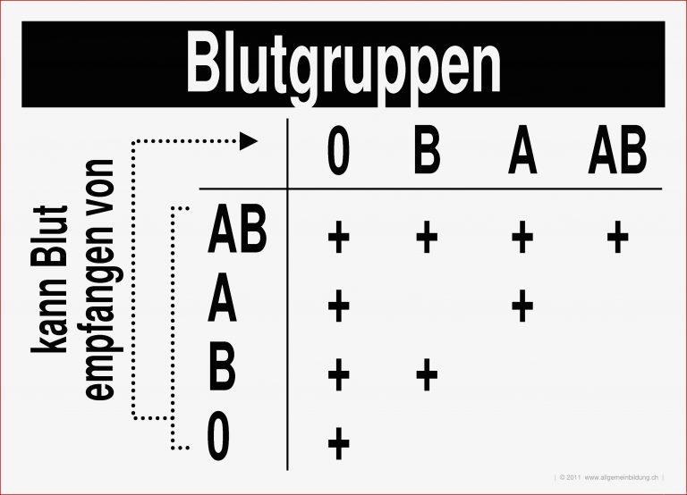 Blutgruppen