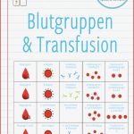Blutgruppen & Transfusion – Zuordnungsaktivität