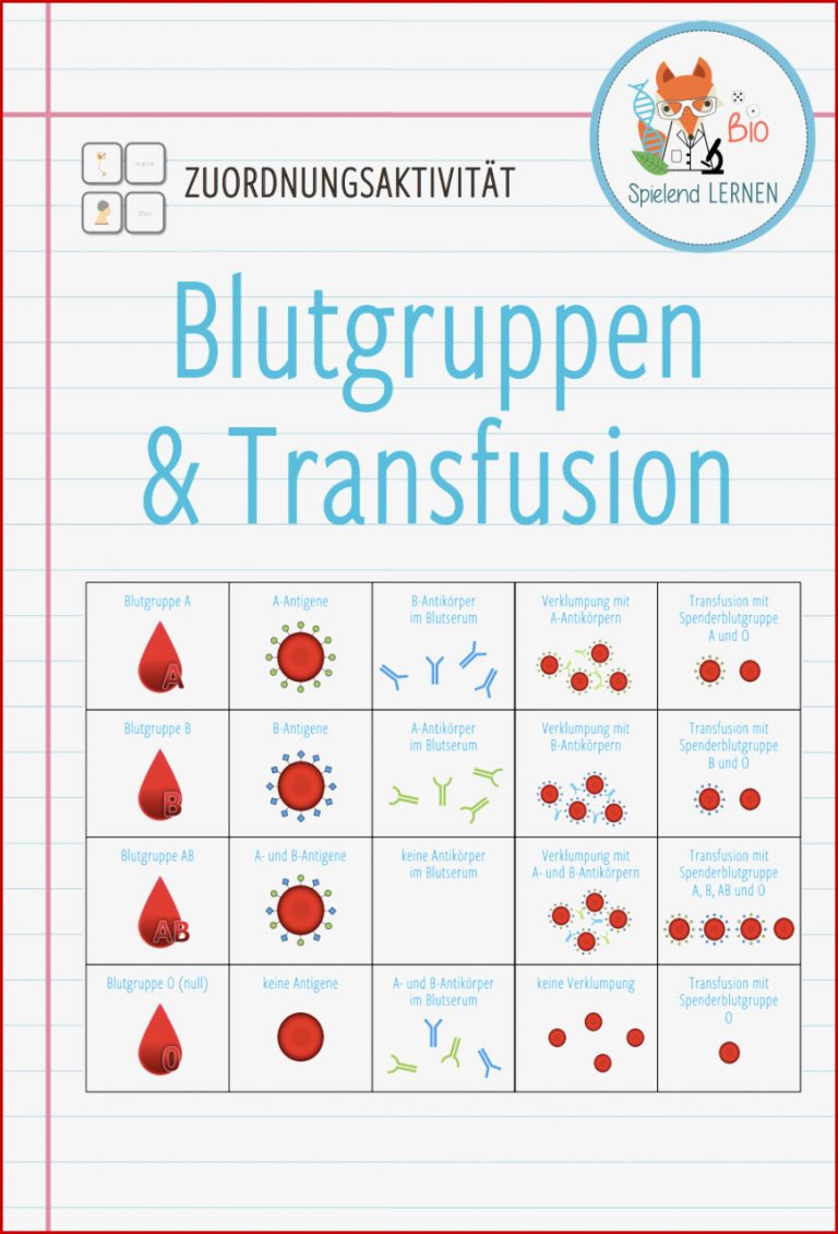 Blutgruppen & Transfusion – Zuordnungsaktivität