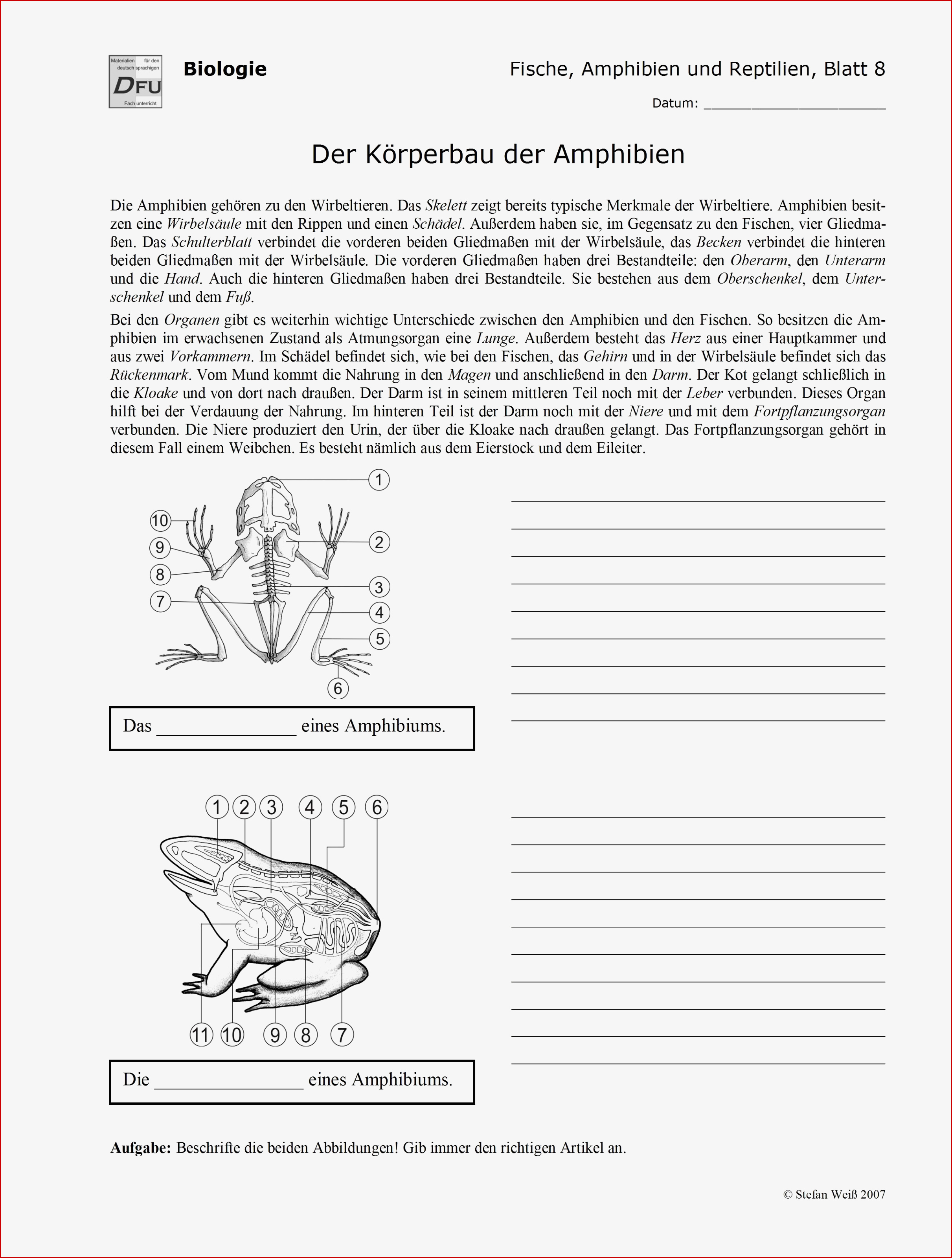 Blutkreislauf Arbeitsblätter Zum Ausdrucken Worksheets