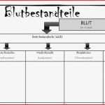 Blutkreislauf Arbeitsblatt Lösung Dorothy Meyer Grundschule