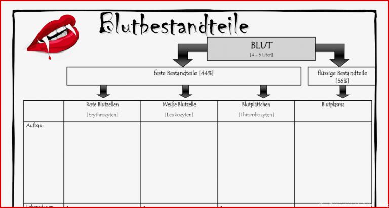 Blutkreislauf Arbeitsblatt Lösung Dorothy Meyer Grundschule