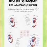 Blutkreislauf Körper Arbeitsblätter Inkl Interaktive