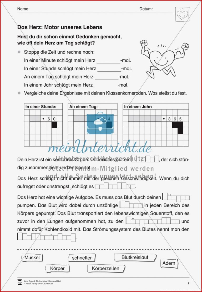 Blutkreislauf Und Herz Meinunterricht