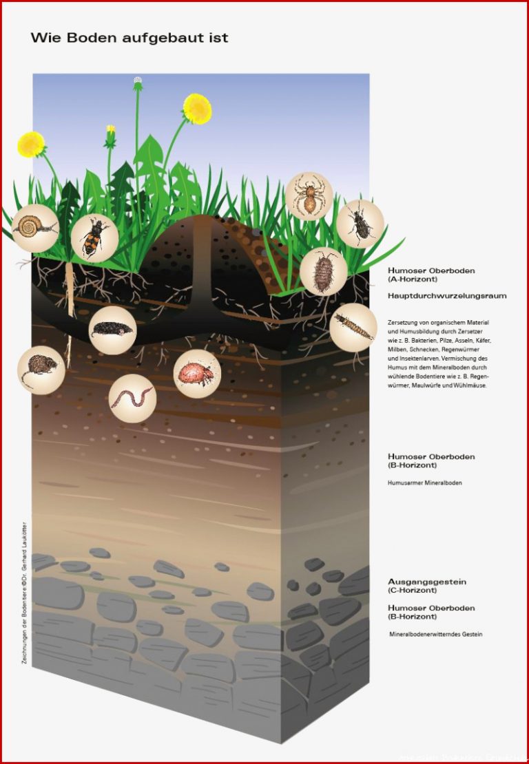 Bodenaufbau LfU Bayern
