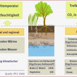 Bodenfunktionen