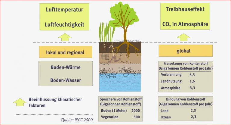 Bodenfunktionen