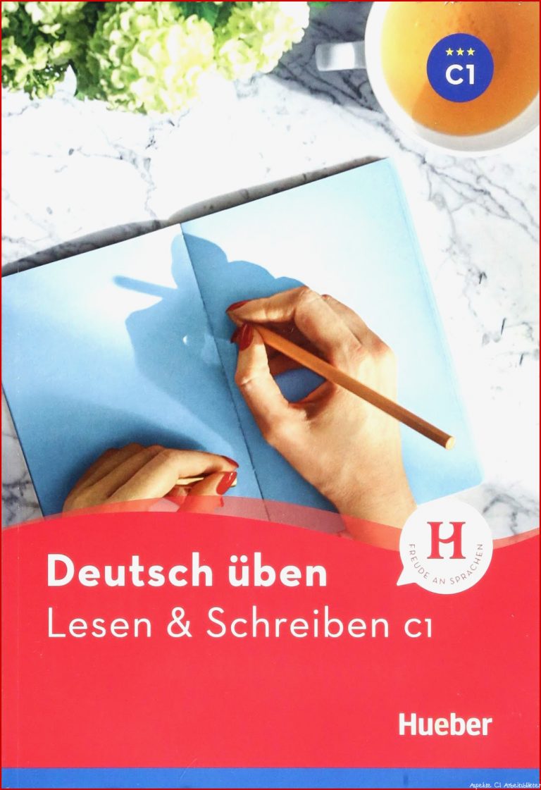 Book Lesen & Schreiben C1 PDF