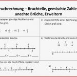 Brüche Arbeitsblätter Klasse 7 Nereida Miller Schule