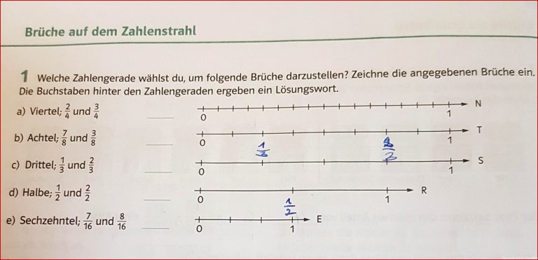 Brüche auf dem Zahlenstrahl Mathe