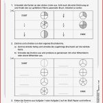 Brüche & Bruchrechnung Mein Mathe Portfolio Pdf Ab 10 J