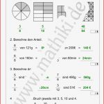 Brüche Erweitern Arbeitsblatt 5 Klasse Robert Hackett Schule