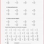 Brüche Erweitern Arbeitsblatt 5 Klasse Robert Hackett Schule