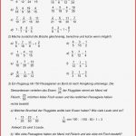 Brüche Mathe Arbeitbletter Klasse 6 Brüche